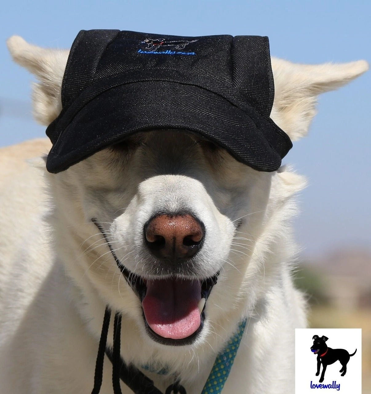 Dog Outdoor Adventure Gear Embroidered Pet Hat LoveWally Adjustable - Hooves and Paws