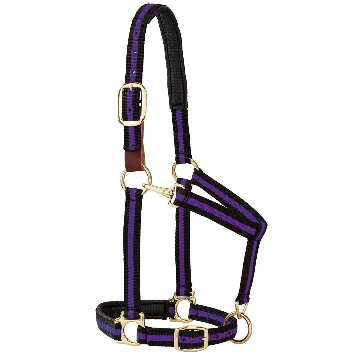 Weaver Leather Breakaway Halter - Padded Crown Safety Release
