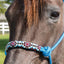 Professional's Choice Beaded Rope Halter | Intricate Beadwork on The Noseband | 7 Foot Matching Lead - Hooves and Paws