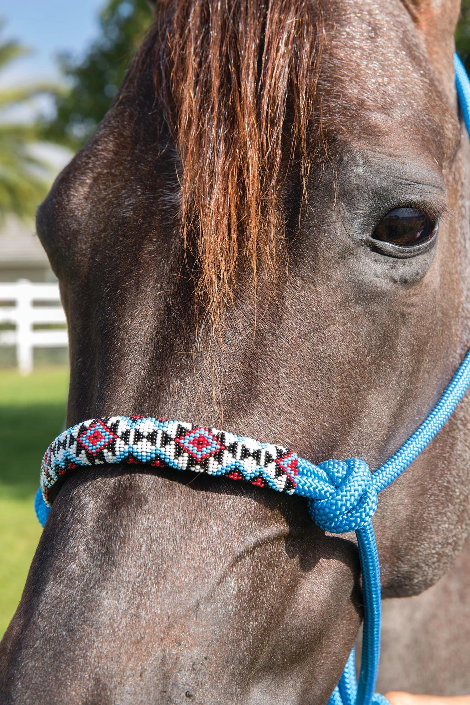 Professional's Choice Beaded Rope Halter | Intricate Beadwork on The Noseband | 7 Foot Matching Lead - Hooves and Paws