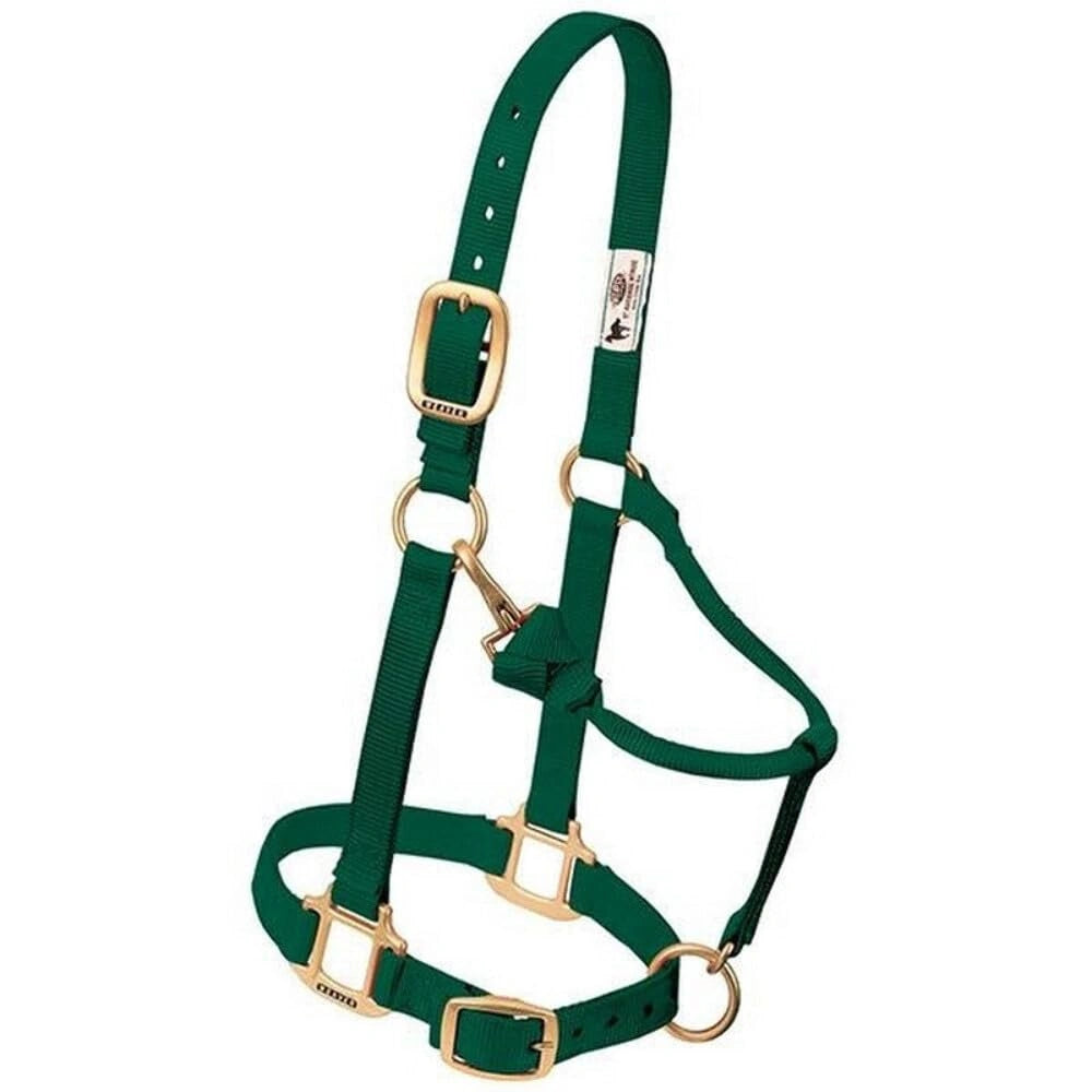 Weaver Leather Horse Halter: Adjustable Nylon for Comfort & Durability