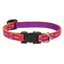 Dog Collar Lupine Pet Lifetime Adjustable 1/2" 3/4" or 1" Puppy Original Designs - Hooves and Paws