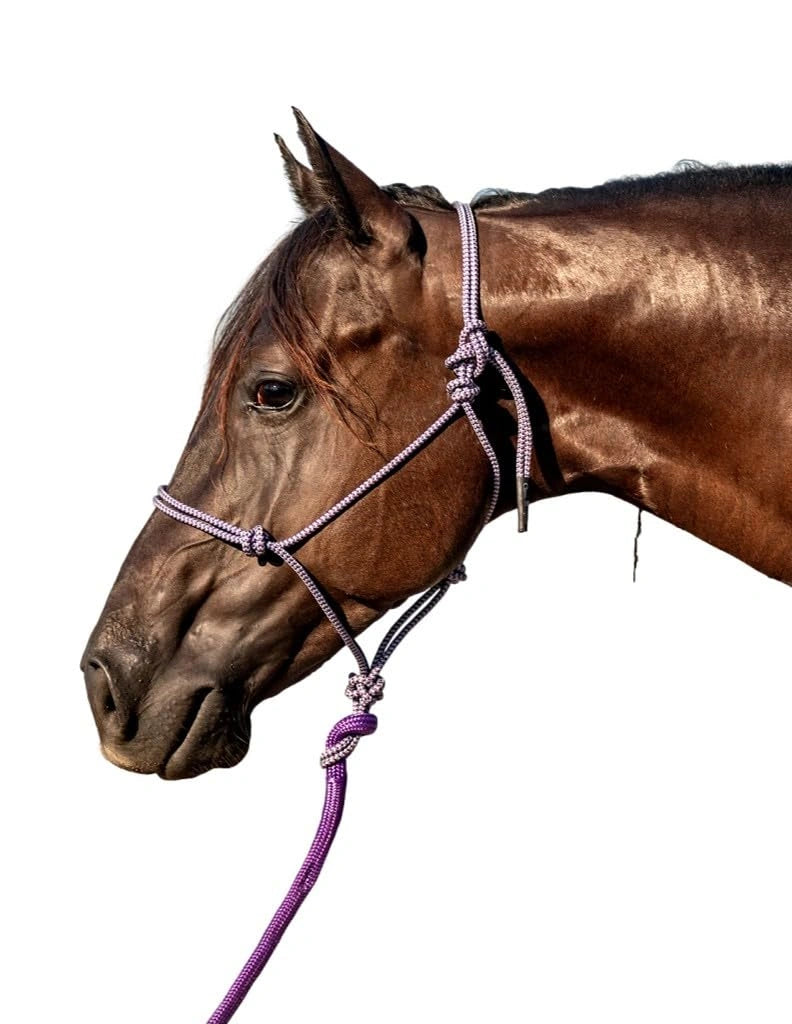 Classic Equine Rope Halter with 9ft Lead - Hardware-Free Nylon