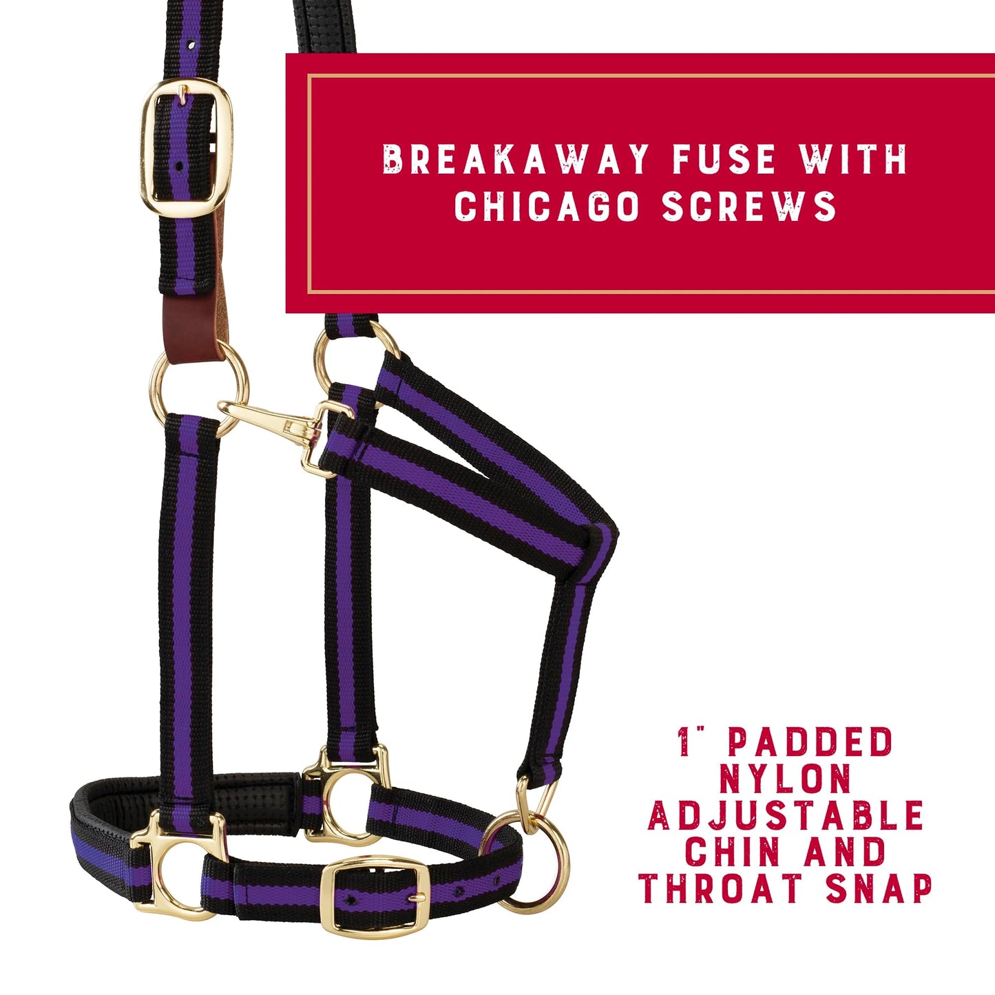 Weaver Leather Breakaway Halter - Padded Crown Safety Release