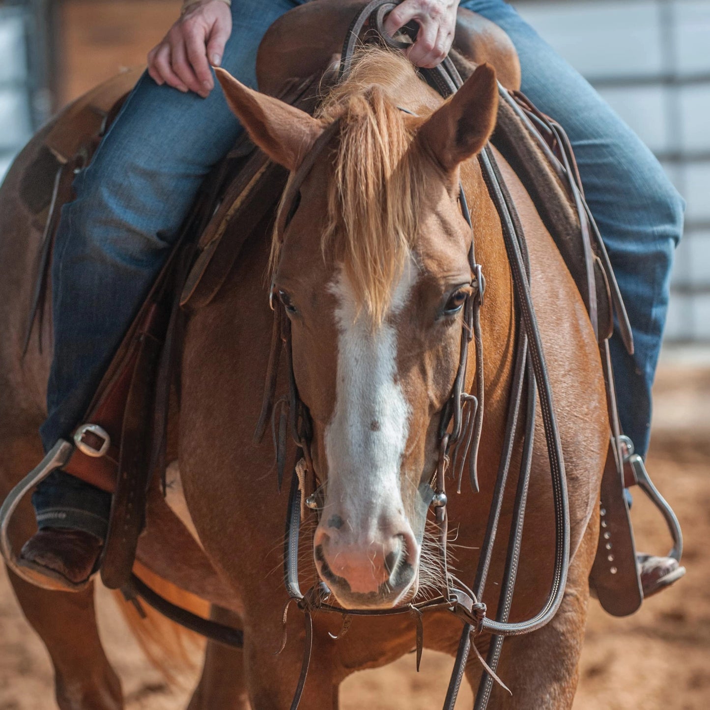 Martin Saddlery Doubled & Stitched Split Latigo Leather Reins - 5/8" Width, Broke-In Feel