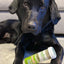Doggijuana Refillable Premium Organic USA Catnip Dog Toy Naturally Calming - Hooves and Paws