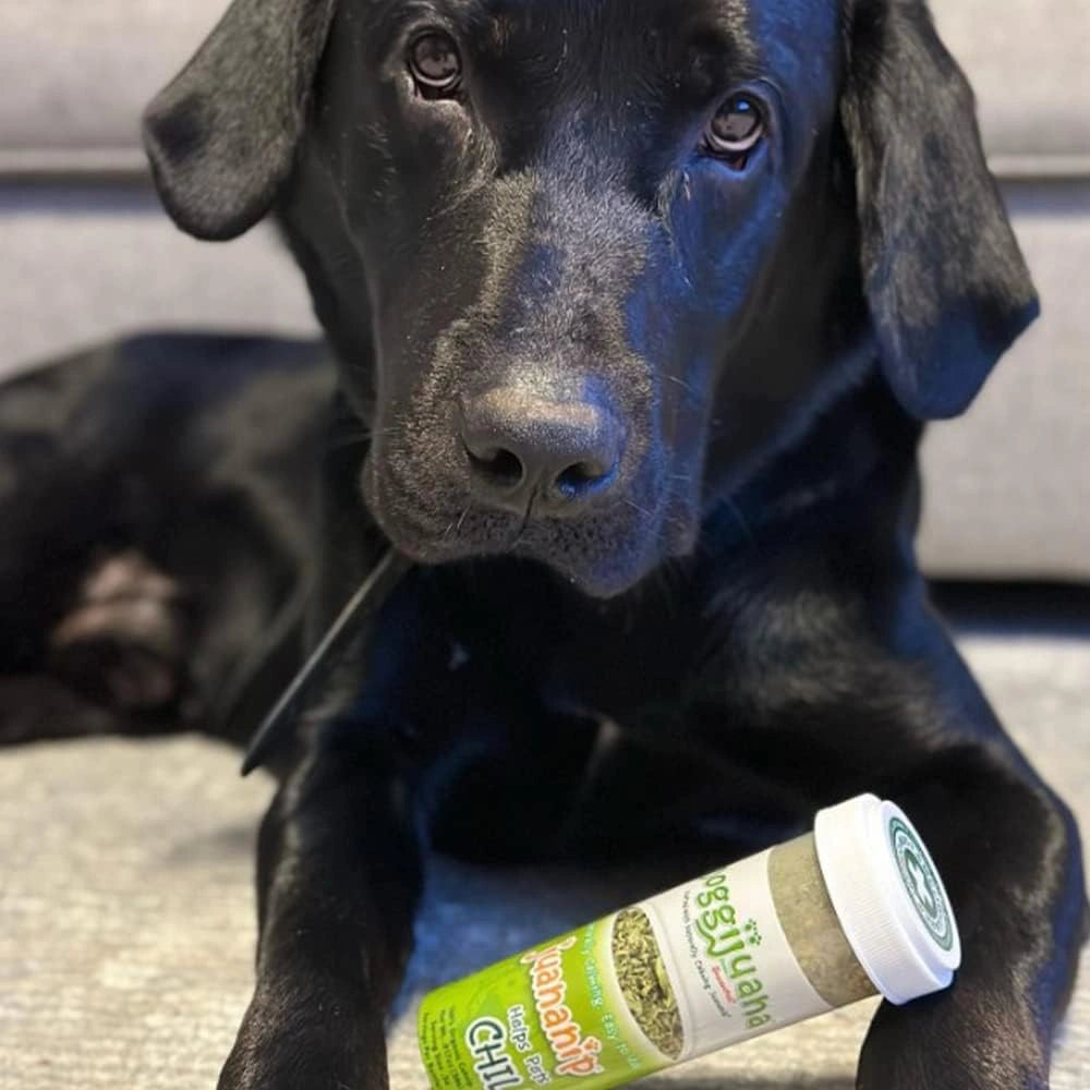 Doggijuana Refillable Premium Organic USA Catnip Dog Toy Naturally Calming - Hooves and Paws