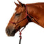 Classic Equine Rope Halter with 9ft Lead - Hardware-Free Nylon