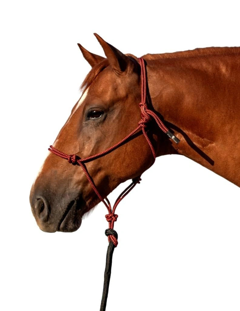 Classic Equine Rope Halter with 9ft Lead - Hardware-Free Nylon