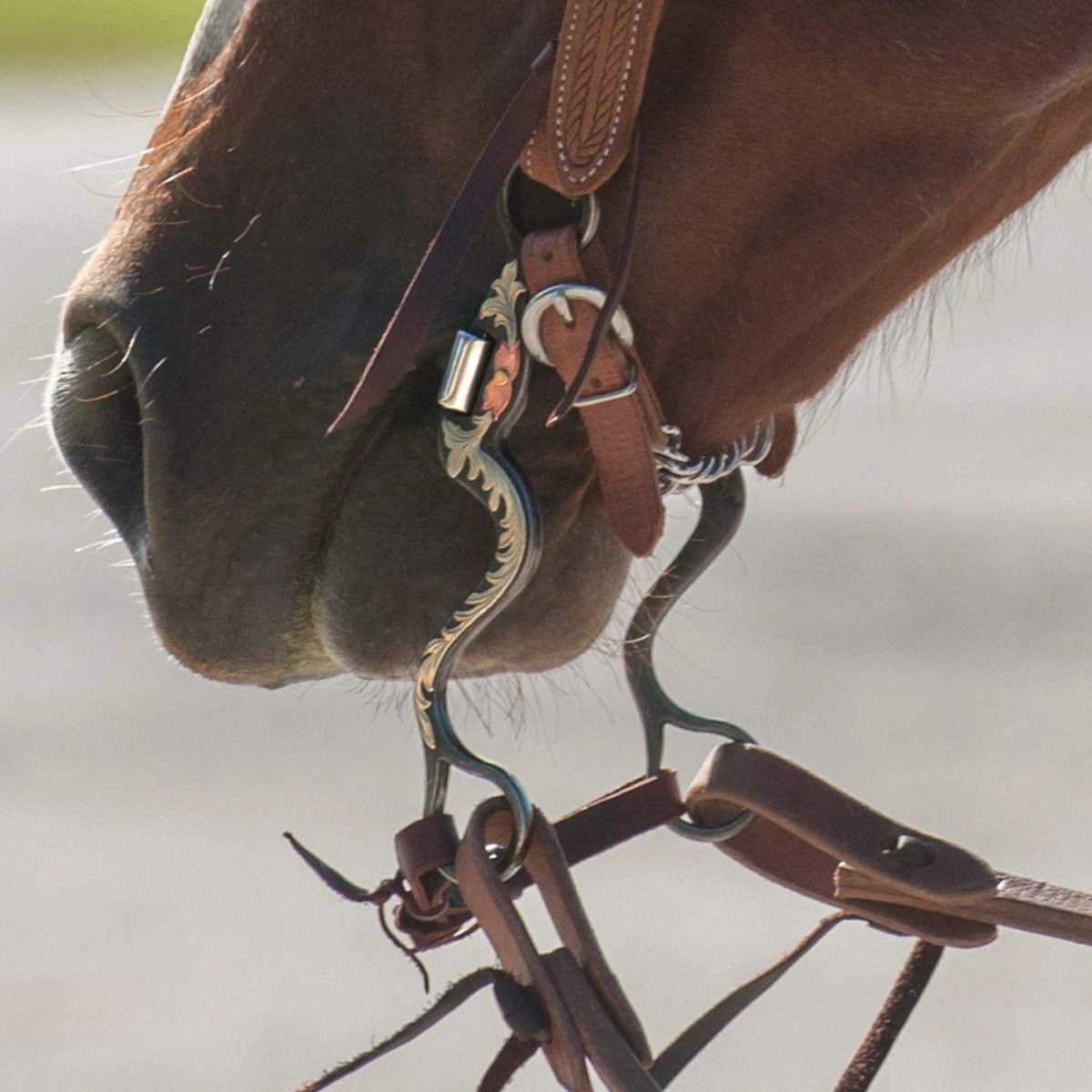 Classic Equine Floral Scroll Correction Bit - Cavalry Shank 8" for Control