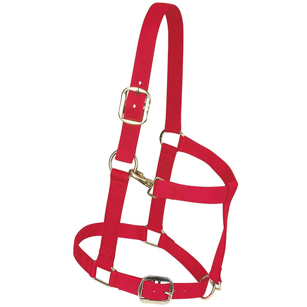 Weaver Leather Horse Halter: Adjustable Nylon for Comfort & Durability