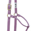Weaver Equine Horse Halter: Comfort, Durability & Perfect Fit for Your Horse