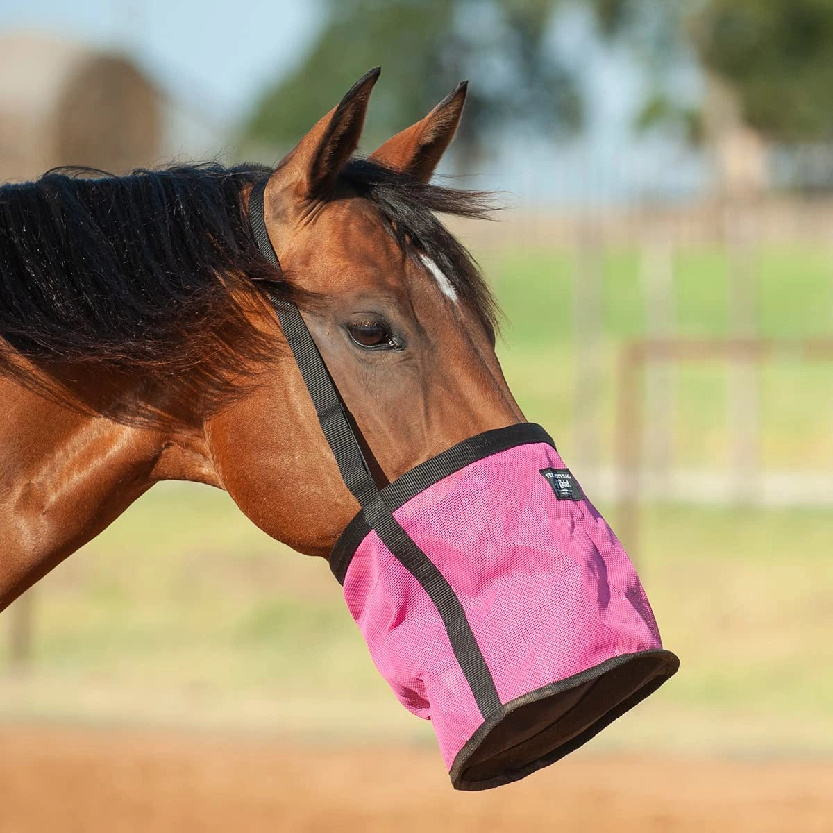 Cashel Feed Rite Bag - Breathable Mesh Horse Feed Bag with Adjustable Straps & Spill-Proof Design
