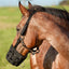 Horse wearing a black muzzle in an outdoor setting