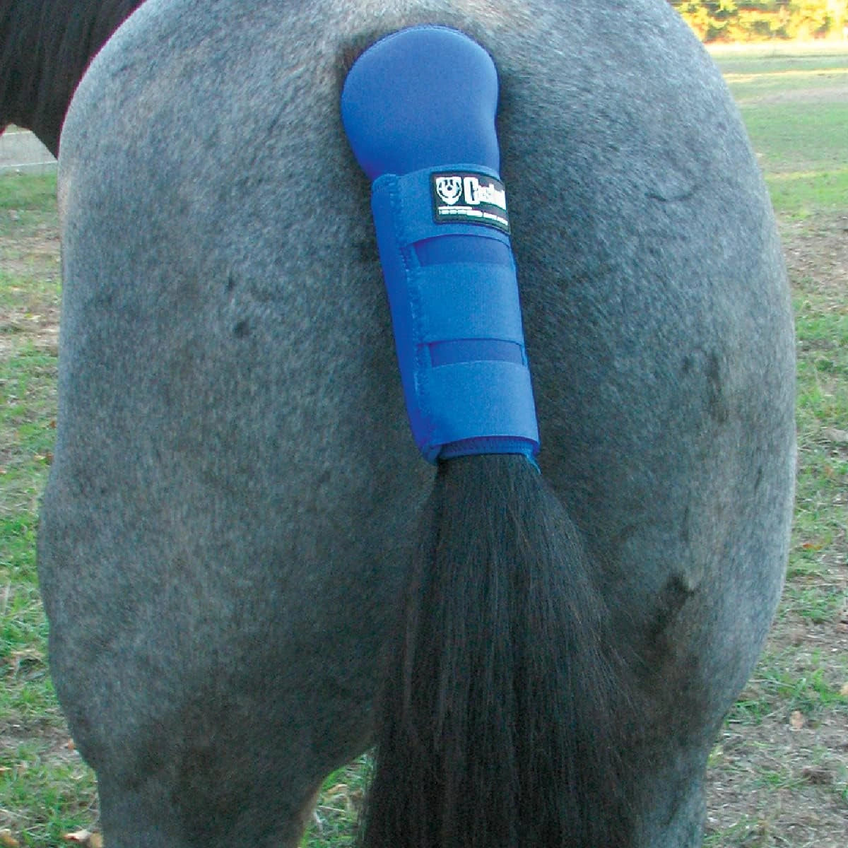 Blue protective wrap on a horse's tail in an outdoor setting