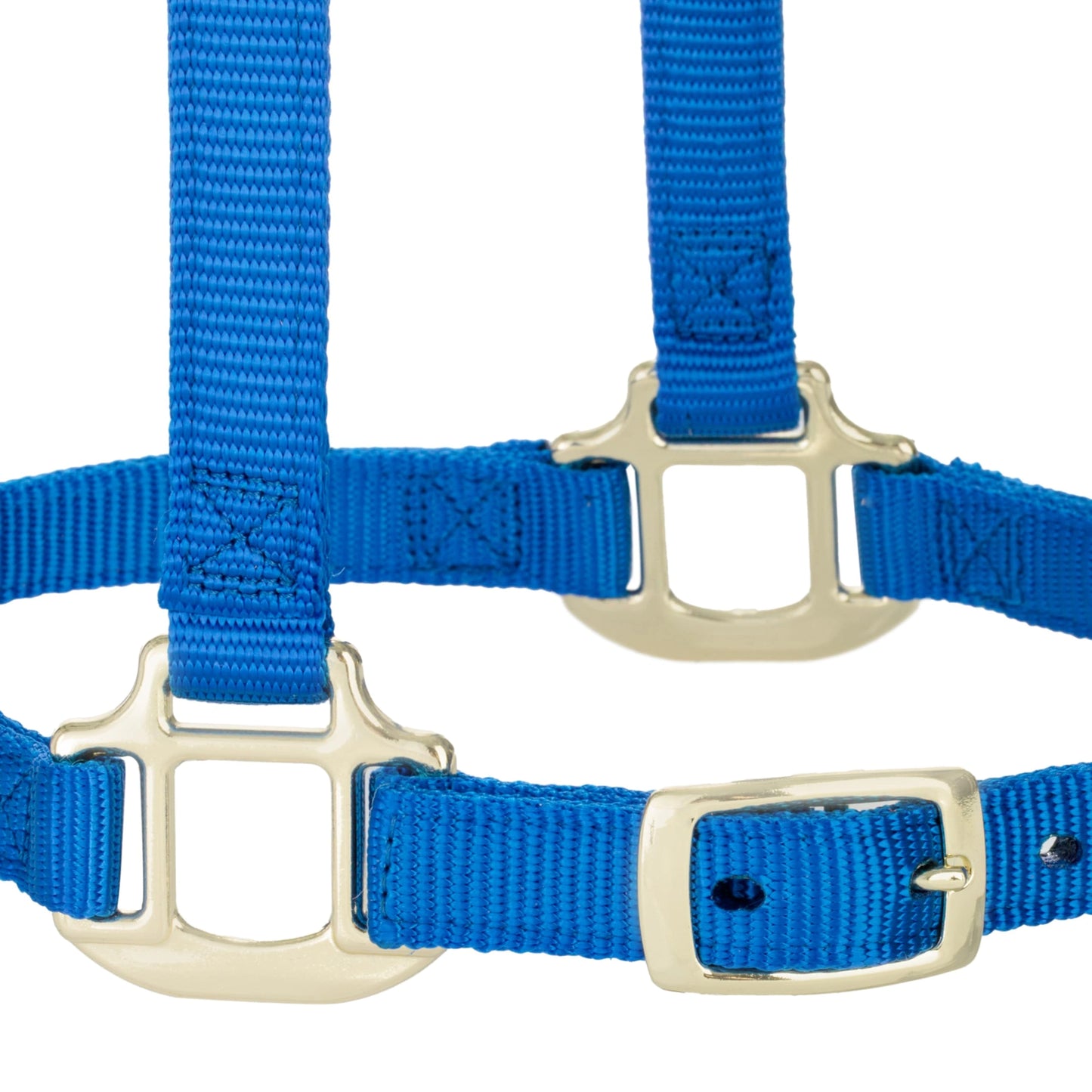 Weaver Leather Breakaway Nylon Halter – Replaceable Crown