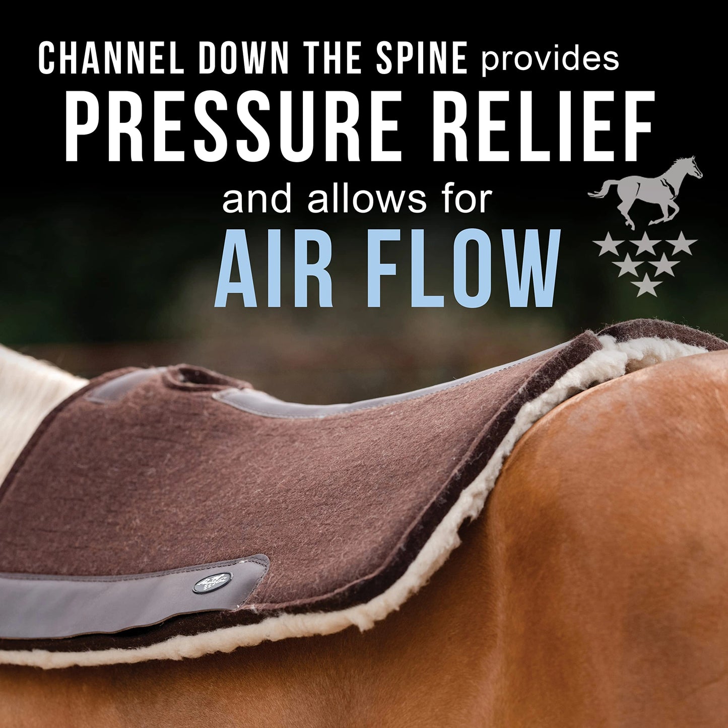 Professional's Choice 100% Wool Felt Contoured Saddle Pad - Pressure Relief & Comfort