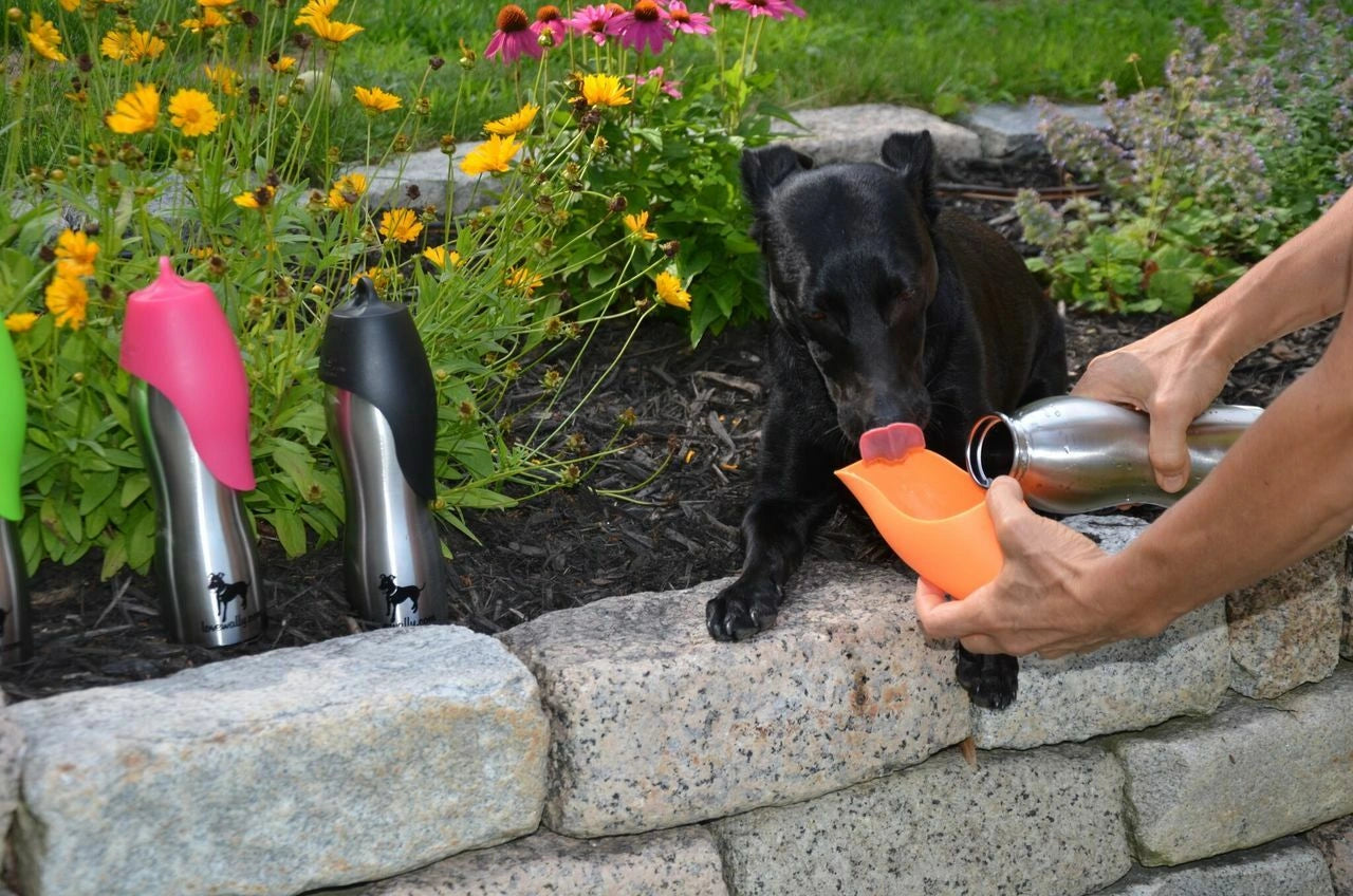 LoveWally Outdoor Adventure Gear 25oz Dog Water Bottle Travel Bowl - Hooves and Paws
