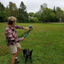 Wally Ball Launcher Dog Toy 19.5” LoveWally Fetch & Retrieve - Hooves and Paws