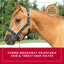 Weaver Leather Breakaway Halter - Padded Crown Safety Release
