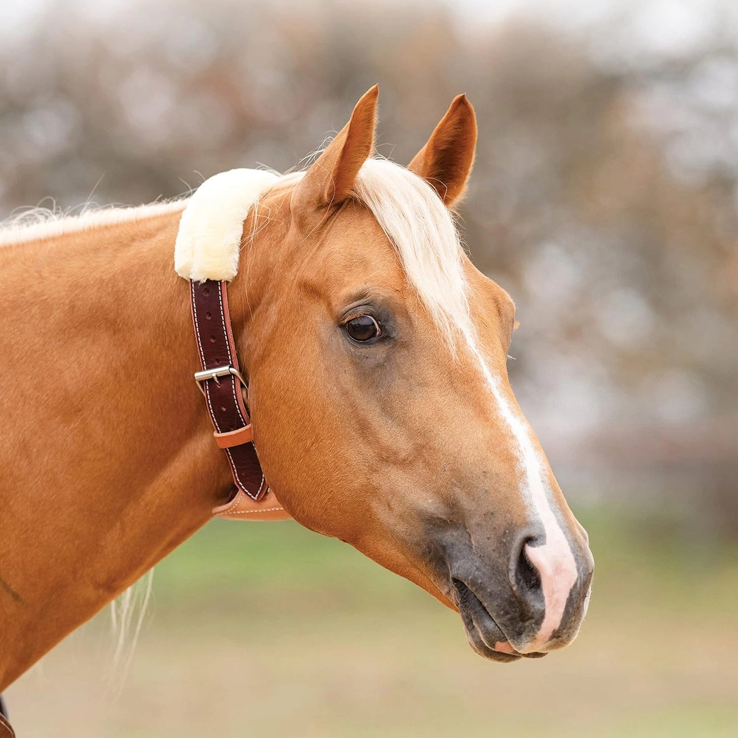 Professional's Choice DARE Cribbing Collar Fleece Cover - Prevents Rubs and Chafing - Multiple Colors