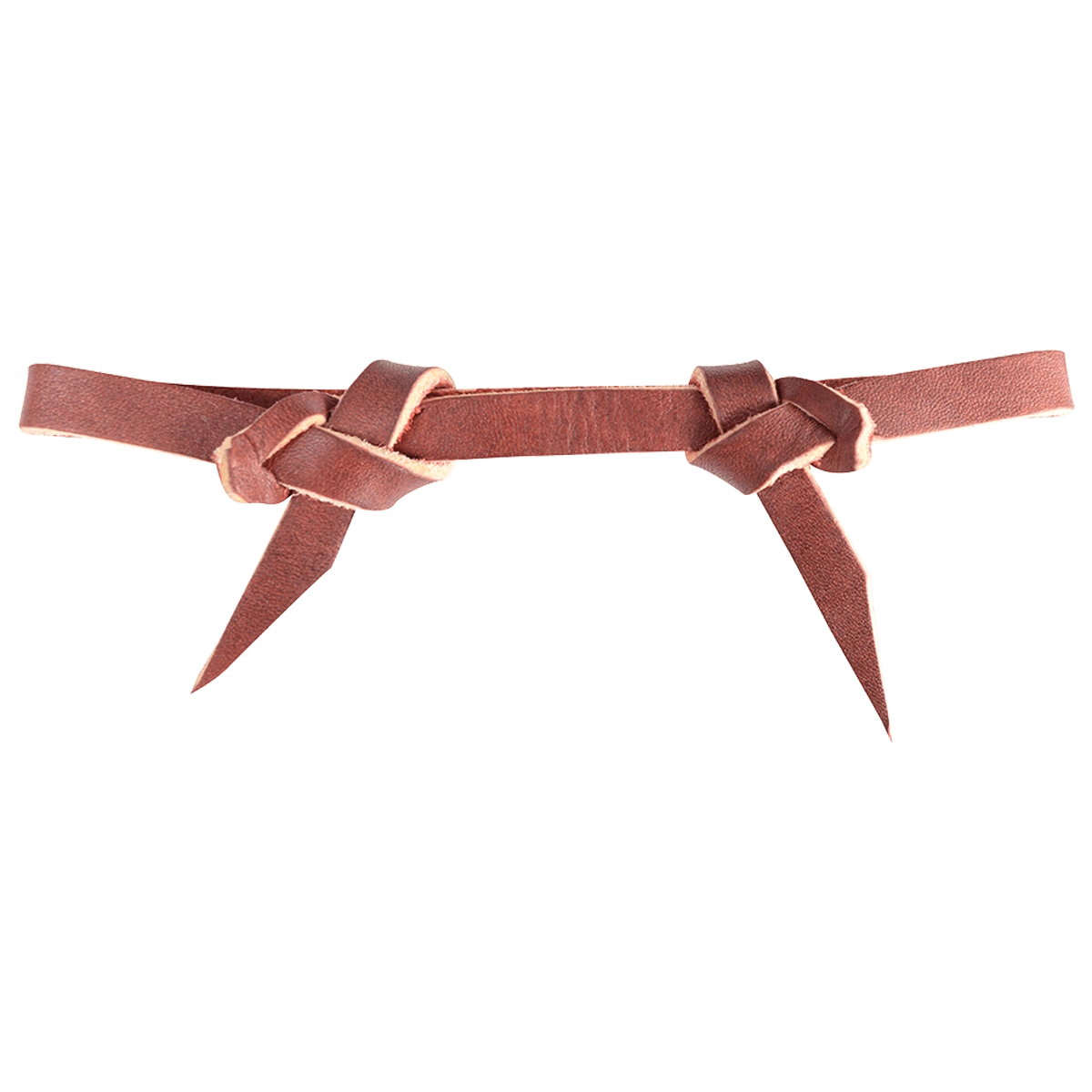 Martin Saddlery LATIGO LEATHER BIT HOBBLE - Hooves and Paws