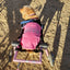 Parisian Pet Dog 1 or Dog 2 Embroidered Tshirt - Hooves and Paws