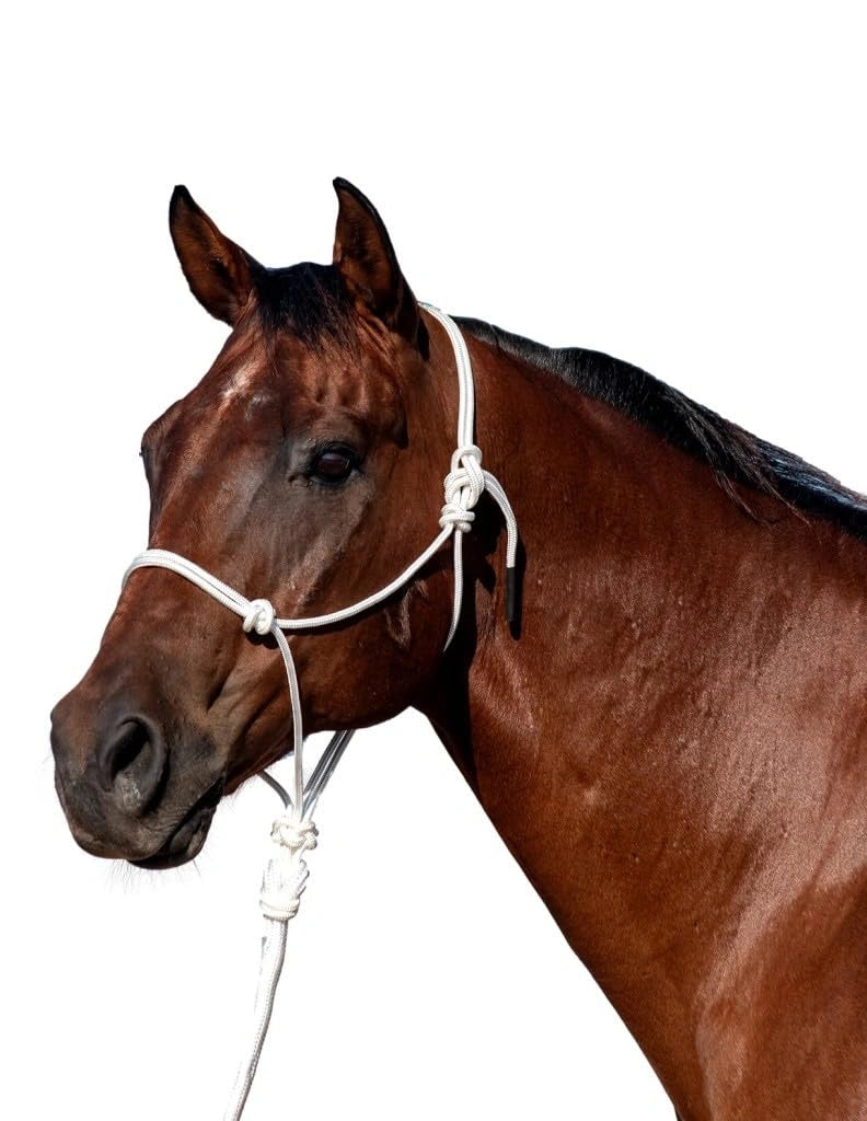 Classic Equine Rope Halter with 9ft Lead - Hardware-Free Nylon