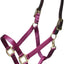 ARMA Shires Nylon Halter with Breakaway Leather Head Strap 90027 - Hooves and Paws