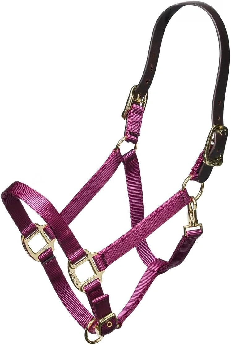ARMA Shires Nylon Halter with Breakaway Leather Head Strap 90027 - Hooves and Paws