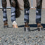 Professionals Choice Polo Wrap - Hooves and Paws