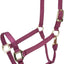 Shires ARMA Adjustable Horse Nylon Halter 10574 - Hooves and Paws