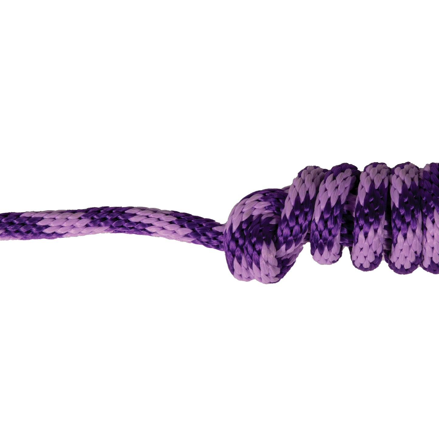 Professional's Choice Equisential Rope Halter with 8' Matching Lead - Durable Nylon Horse Halter