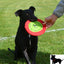 LoveWally The Original Soft Bite Floppy Disc Flyer Outdoor Adventure Gear Dog Toy - Hooves and Paws
