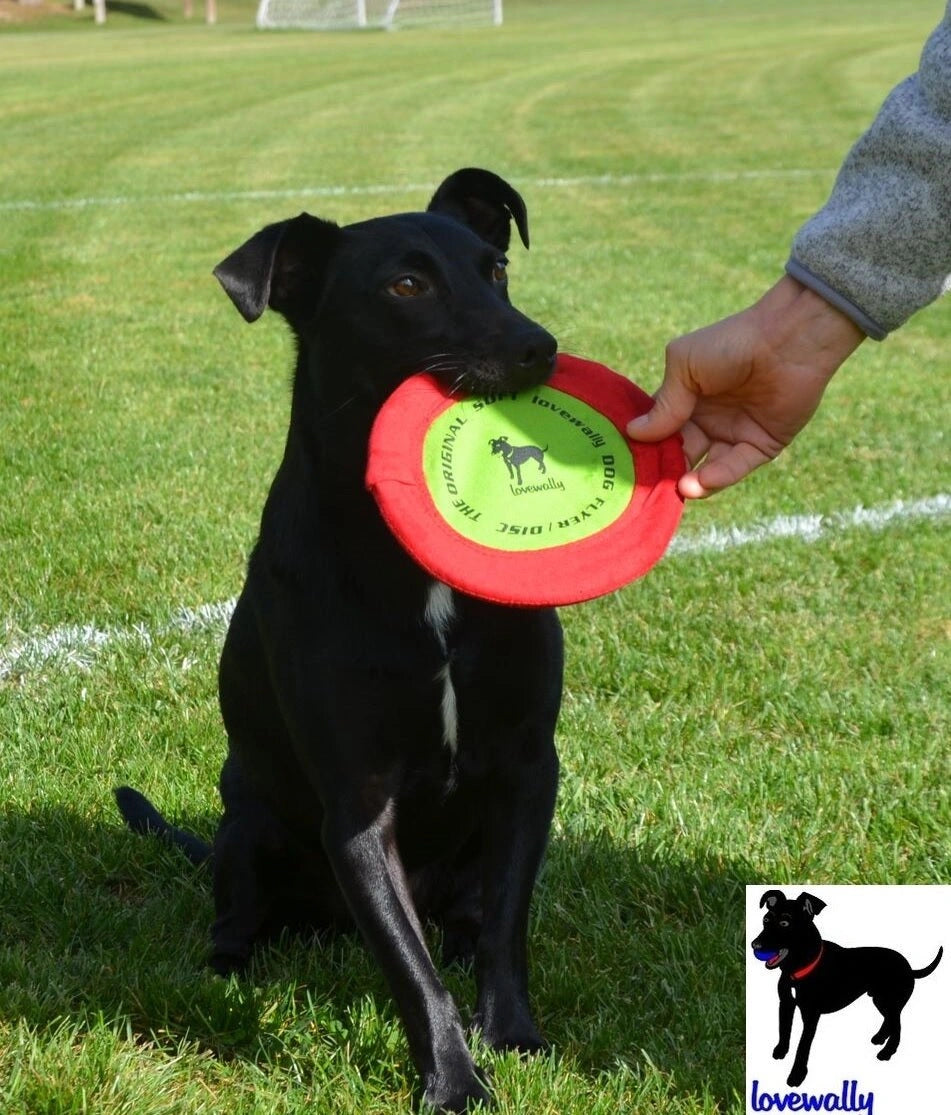 LoveWally The Original Soft Bite Floppy Disc Flyer Outdoor Adventure Gear Dog Toy - Hooves and Paws