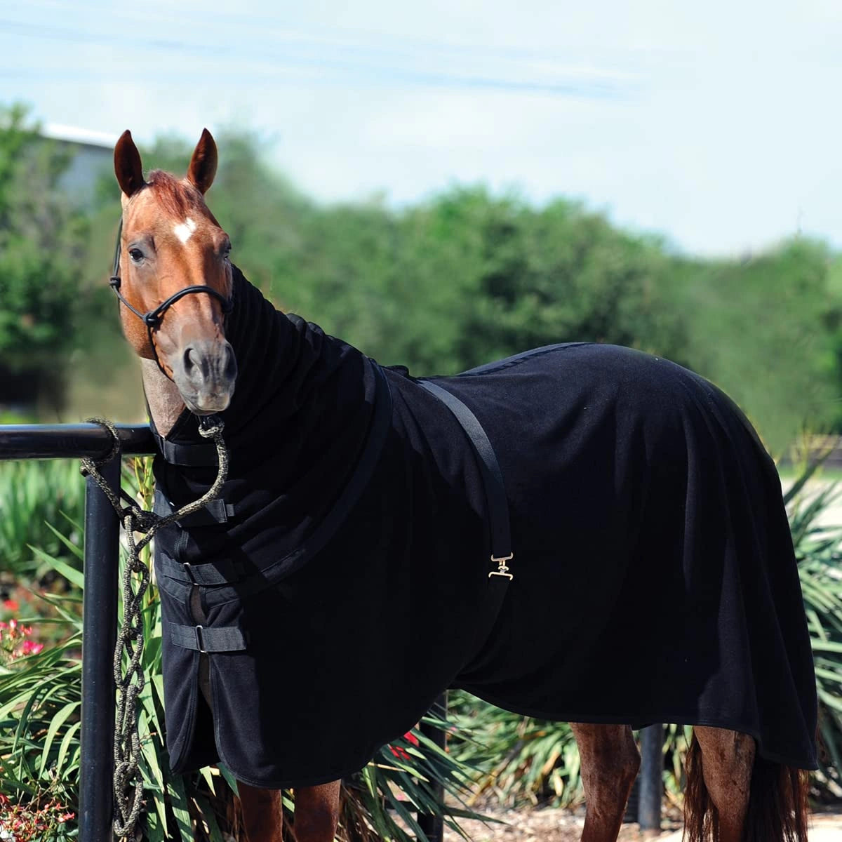 Classic Equine Polar Fleece Cooler Premium - Black - Moisture-Wicking Horse Cooler with Horn Slit - Multiple Sizes