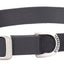 Weaver Leather Nylon Single - Ply Dog Collar - Hooves and Paws