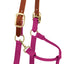 Weaver Leather Breakaway Nylon Halter – Replaceable Crown
