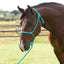Professional's Choice Equisential Rope Halter with 8' Matching Lead - Durable Nylon Horse Halter