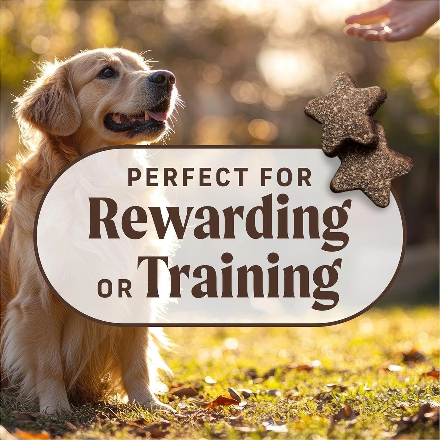 Merck Power Bites Soft & Chewy Real Turducken Recipe Grain-Free Dog Treats for Skin & Coat Support - 6 oz Bag