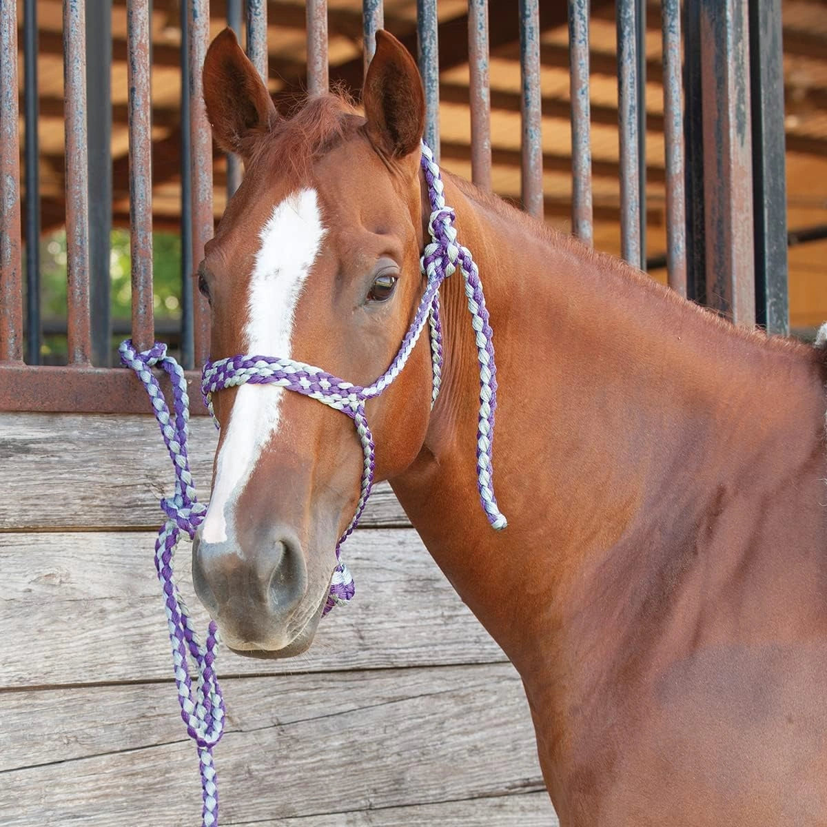 Classic Equine Flat Braid Halter and Leadrope, Purple - Grey (Sell out) - Hooves and Paws