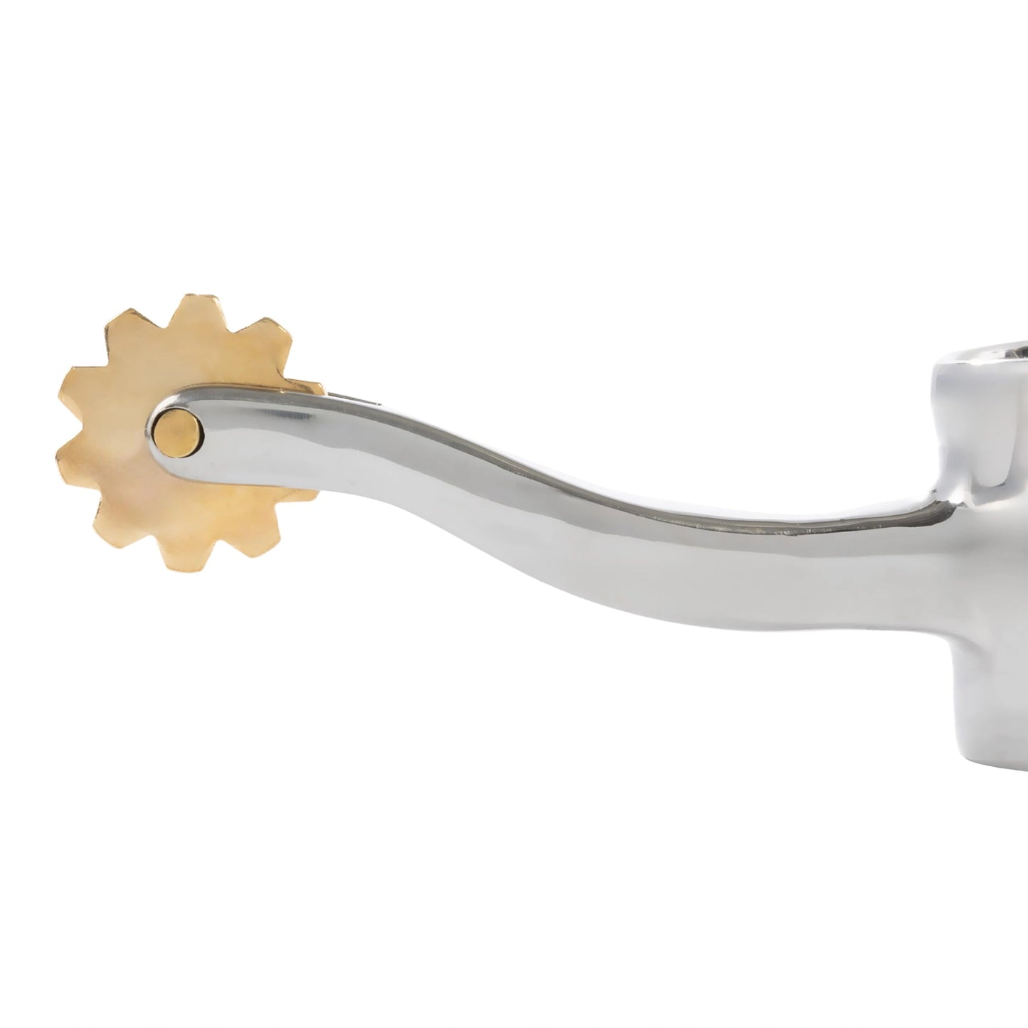 Weaver Leather Ladies' Stainless Steel Spurs - 2-3/4" Shank, 10 Point Brass Rowel, 1-1/2" Band