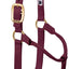 Weaver Equine Horse Halter: Comfort, Durability & Perfect Fit for Your Horse