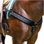 Professionals Choice Neoprene Breast Collar - Universal Size - 4-Way Stretch Nylon-Lined Neoprene