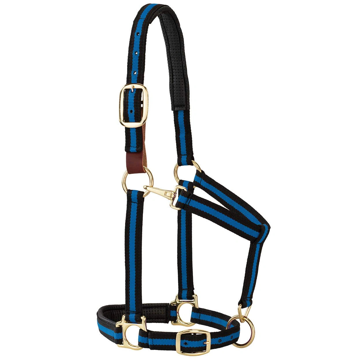 Weaver Leather Breakaway Halter - Padded Crown Safety Release
