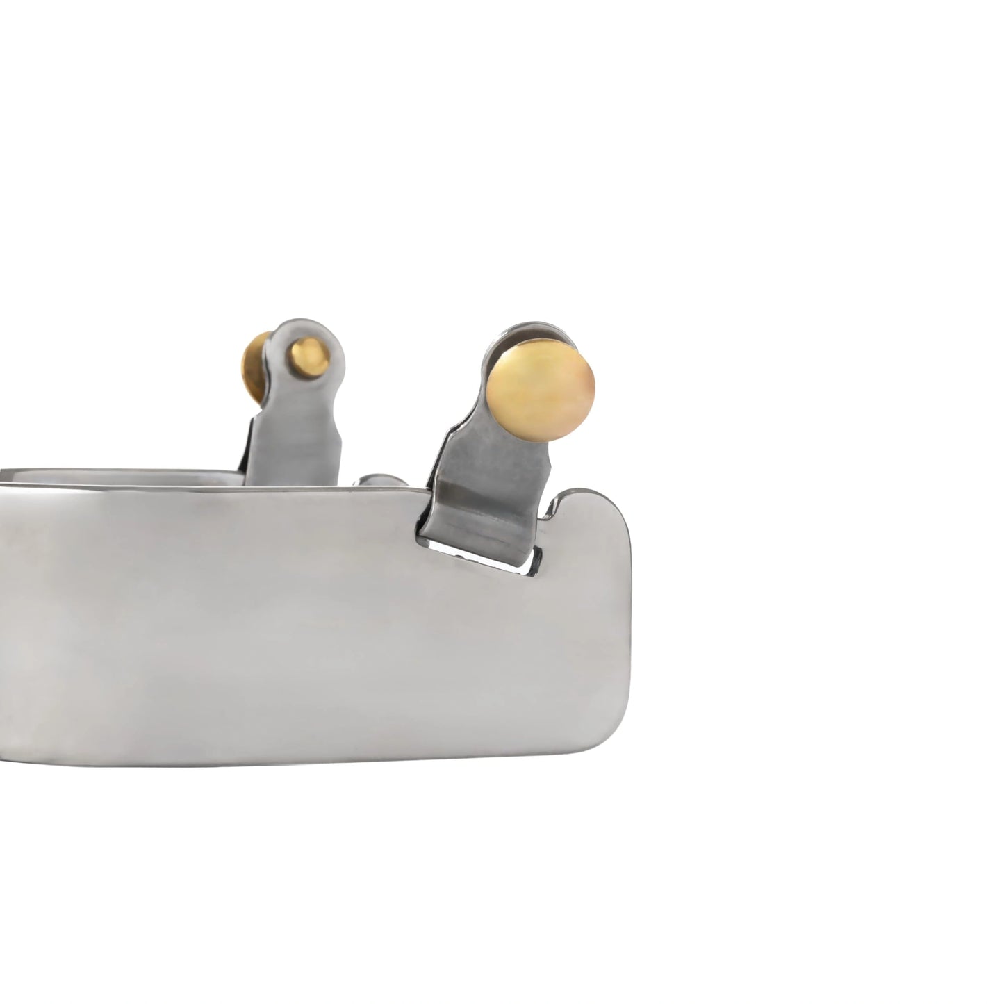 Weaver Leather Ladies' Stainless Steel Spurs - 2-3/4" Shank, 10 Point Brass Rowel, 1-1/2" Band