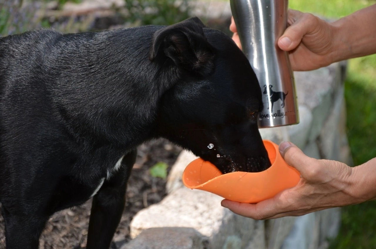 LoveWally Outdoor Adventure Gear 25oz Dog Water Bottle Travel Bowl - Hooves and Paws