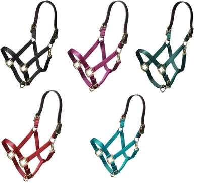 ARMA Shires Nylon Halter with Breakaway Leather Head Strap 90027 - Hooves and Paws