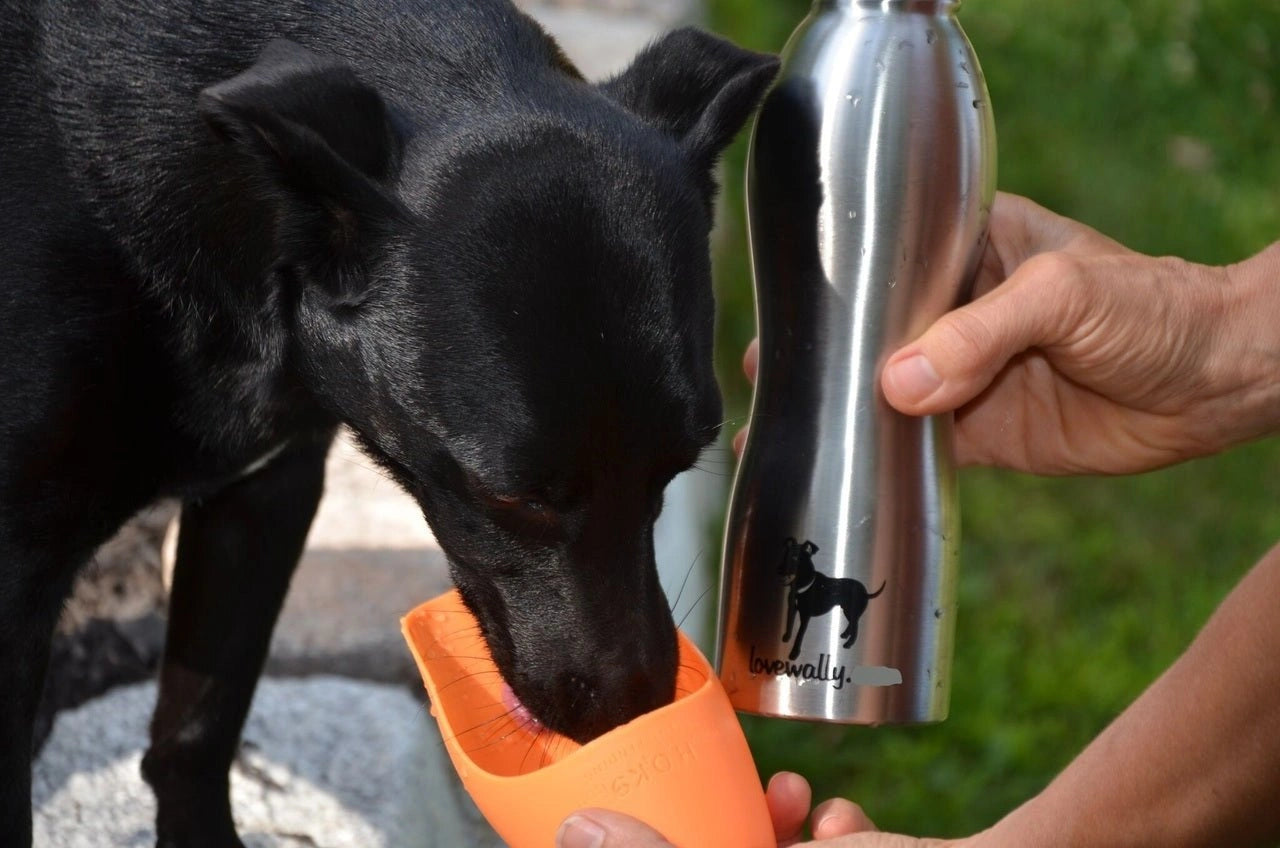 LoveWally Outdoor Adventure Gear 25oz Dog Water Bottle Travel Bowl - Hooves and Paws