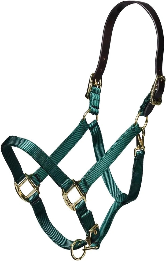 ARMA Shires Nylon Halter with Breakaway Leather Head Strap 90027 - Hooves and Paws